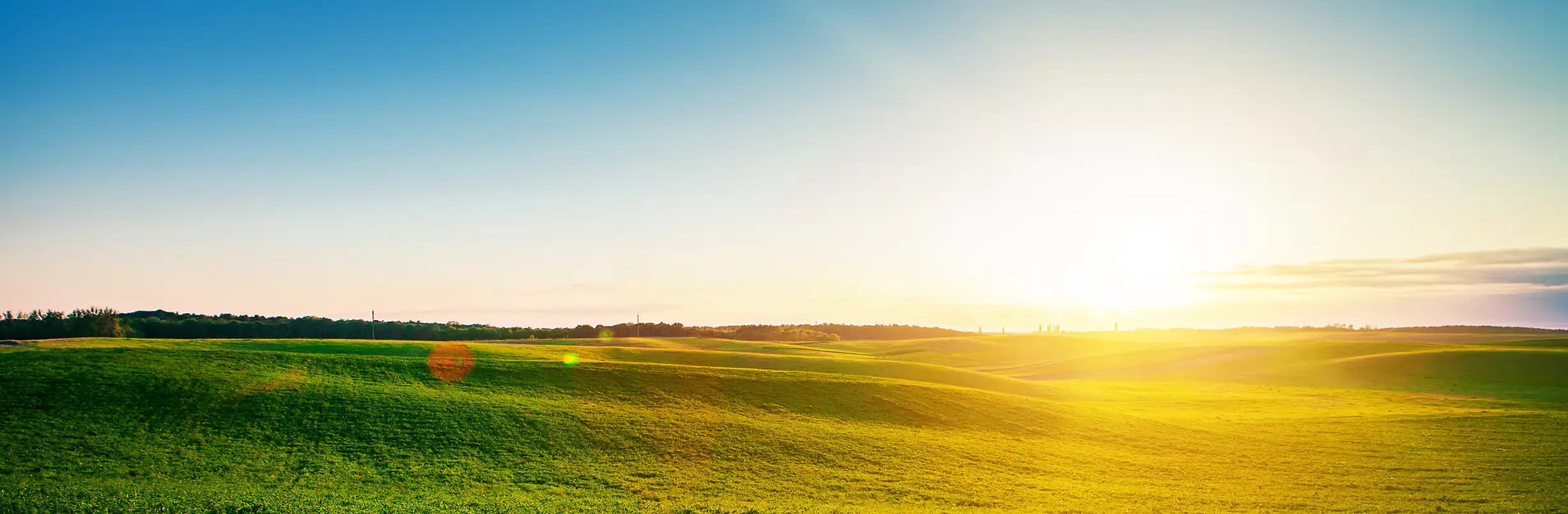 Open agricultural field at sunrise